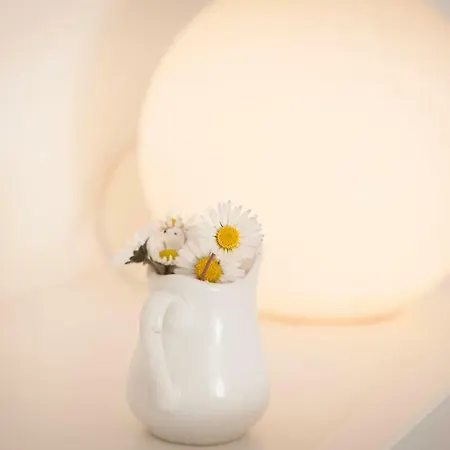 In 住宿加早餐酒店 罗卡迪帕帕